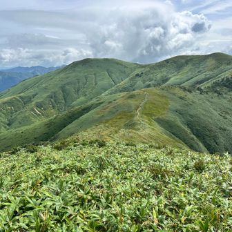 先にも登山道は続いてるけど、YAMAP地図には載ってない
