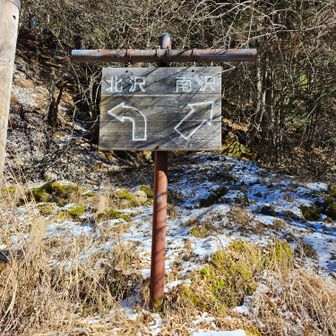 登りは北沢ルートで