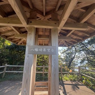 自転車で八幡崎展望台へ

木が成長しすぎちゃったのかな？

景色はチラ見え🫥