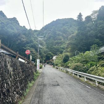 参拝者駐車場が見えてきた