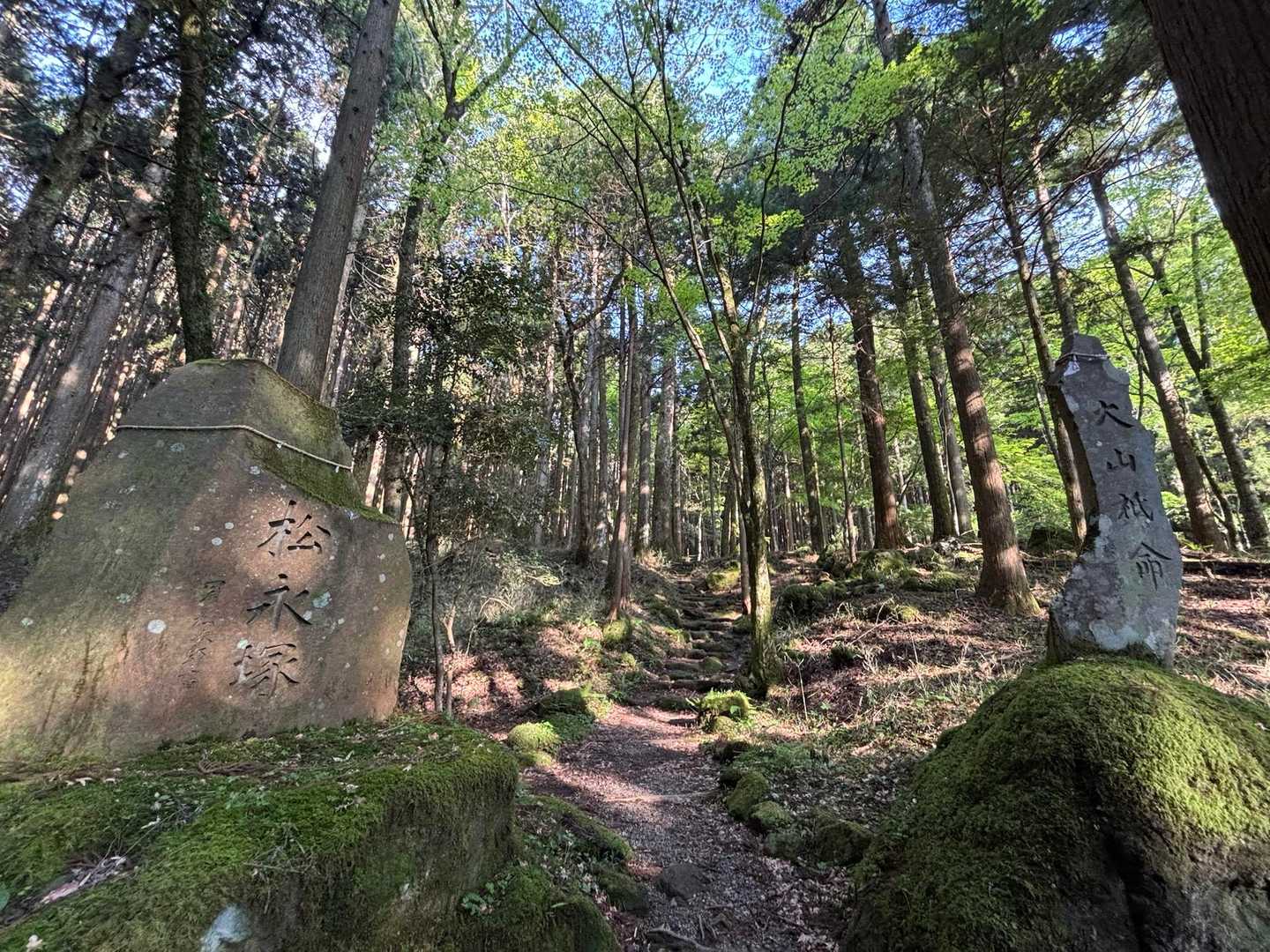 ⛩️鳥居みたいなのあったし、お寺とかなのかな？