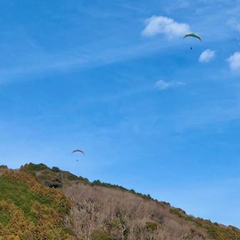 まだ飛んでる😀