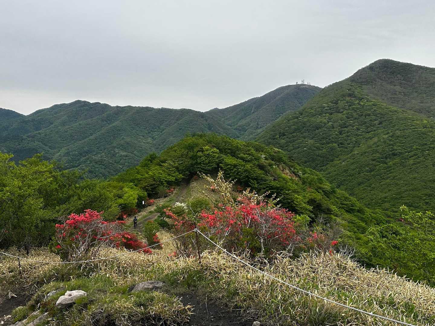 火起山から