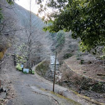極楽橋駅からスタート
この駅からは降りてはいけないような感じがしますが、ケーブルカー乗り場への途中できちんと降りられます