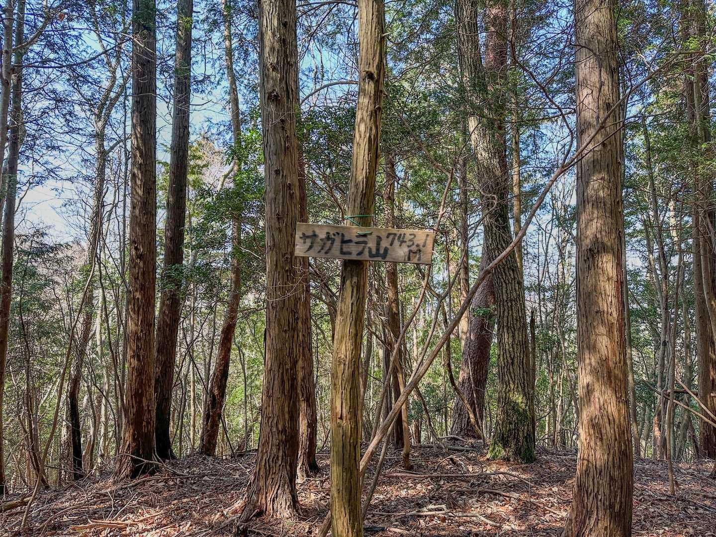 十八神社-額井岳-戒場峠-戒場山-戒長寺 周回コースの写真