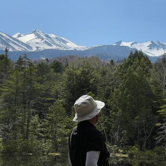 みらちゃんねる