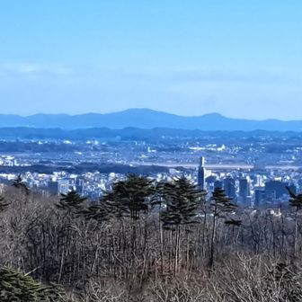 金華山まで見える日の初歩き🥰