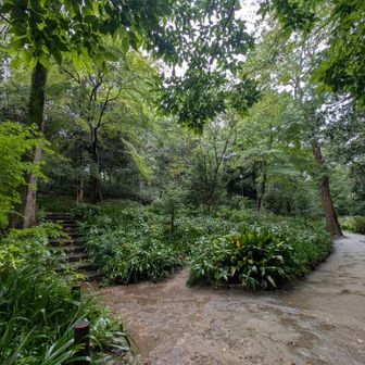 今日歩いた中では一番落ち着いてて、好きな公園かも…💚