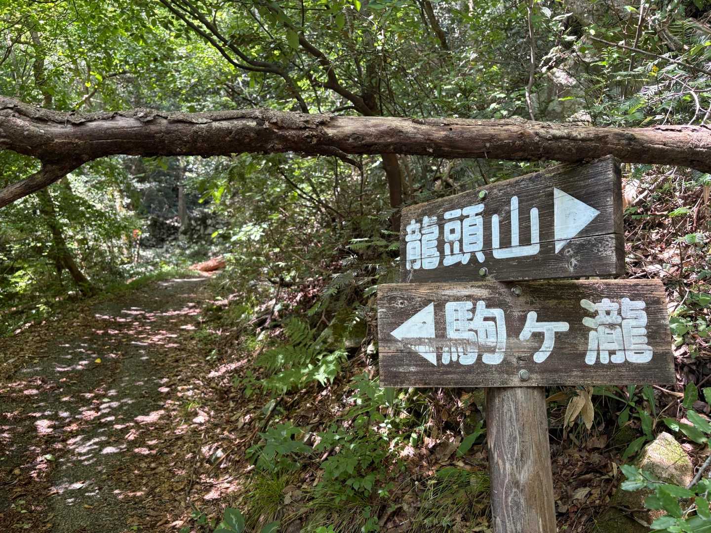 駒ヶ滝に向かうよ〜