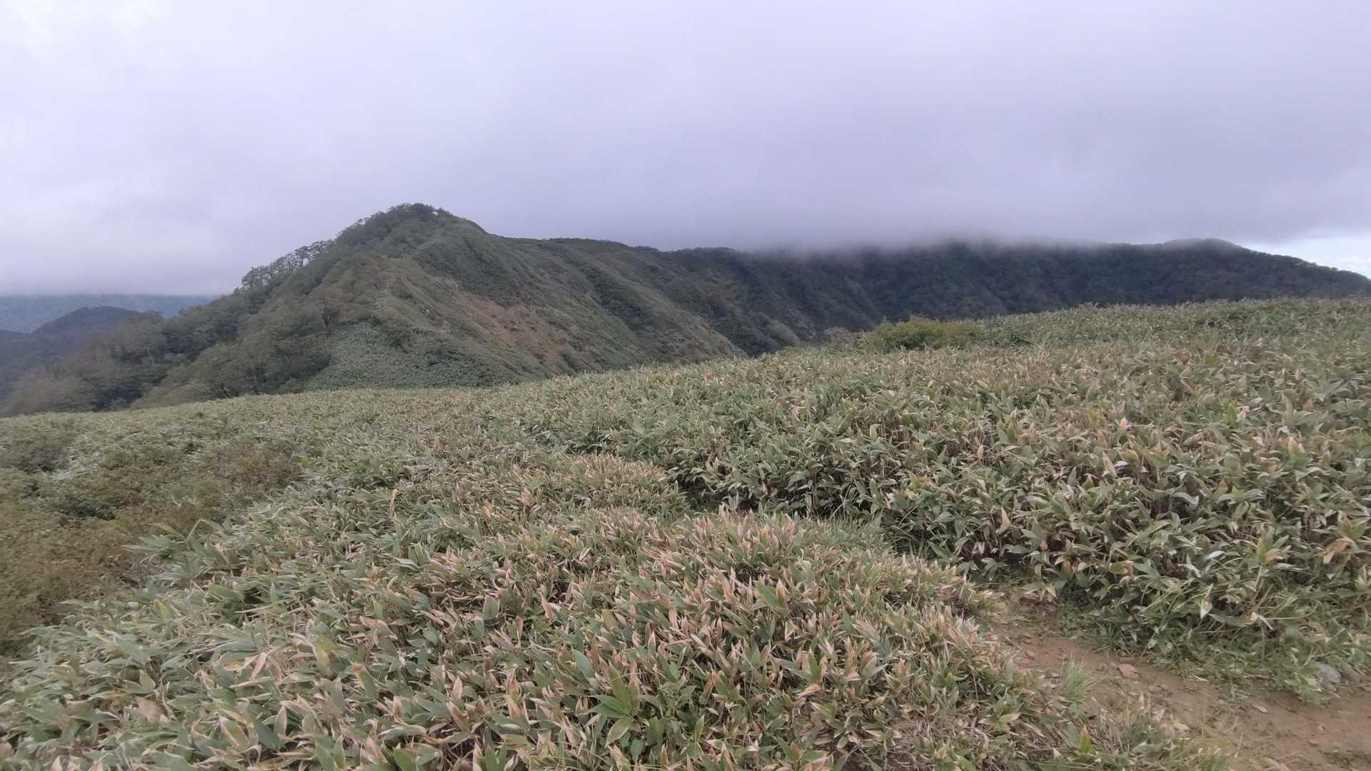 冠山峠-冠山 往復コースの写真