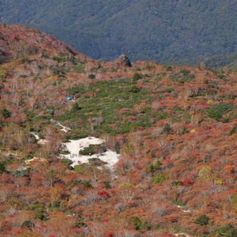 牛ヶ首から見下ろす姥ヶ平🍁
昨年に比べると、鮮やかさはいまひとつ。
タイミング的にも、紅葉は既に終盤かな？🤔