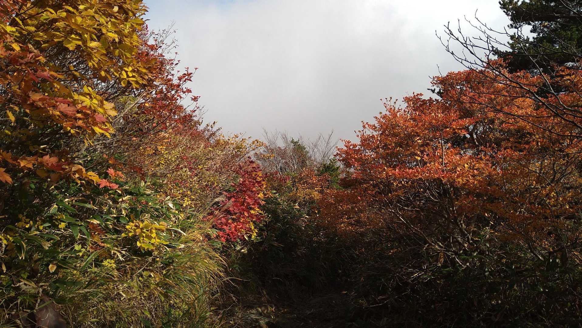 さて不忘山で昼食食べたので、白石スキー場まで一気に下山