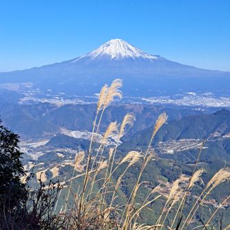 ススキと富士山