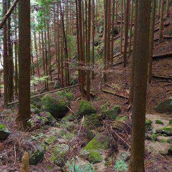 ゴロゴロしております