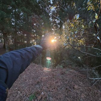 太陽を掴み忘れました😅
日の出でやれば良かった😓
見ることに集中し過ぎた😆