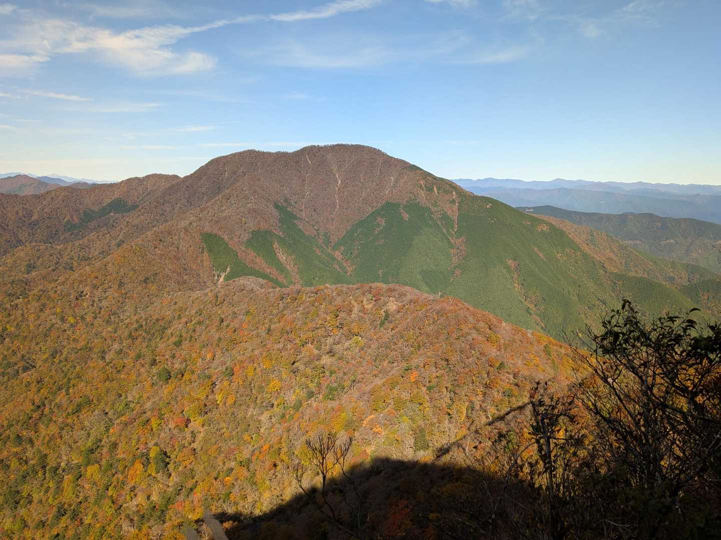 自然林と植樹林がパッチワークな大室山