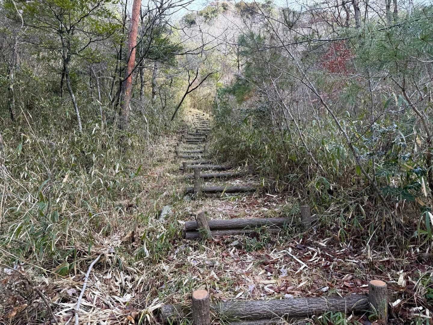 青垣いきものふれあいの里 遊歩道には分岐が沢山    地図を見て見てしながら進みます