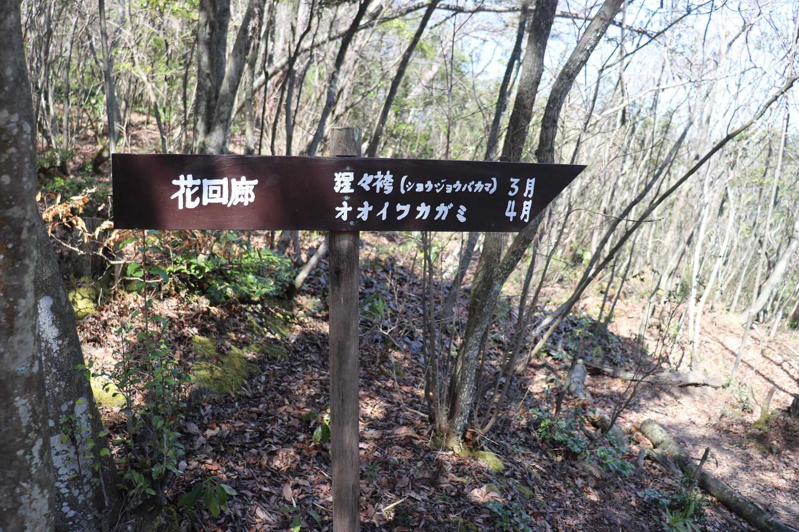 お目当ての、花回廊に到着