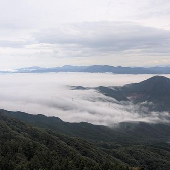 見事な雲海が大根地山を囲ってます