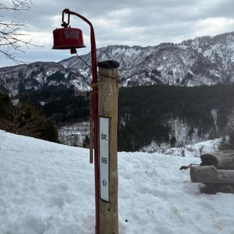 なので鋸を観る方で