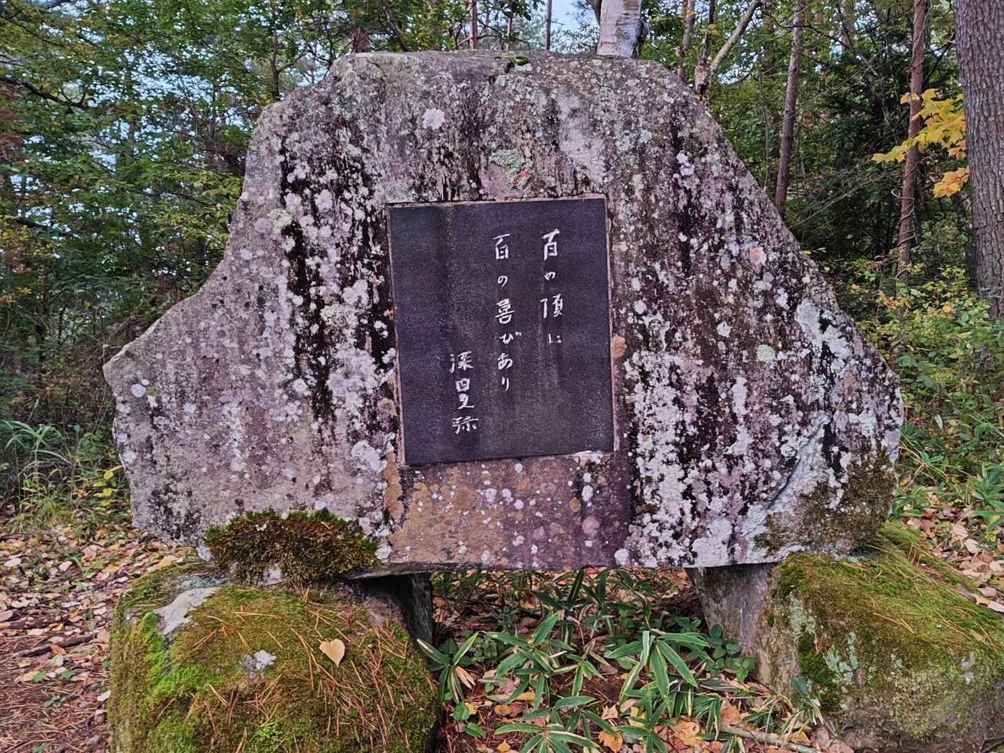 これを📸したくて