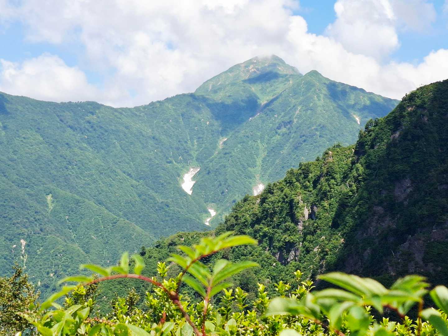 八海山？