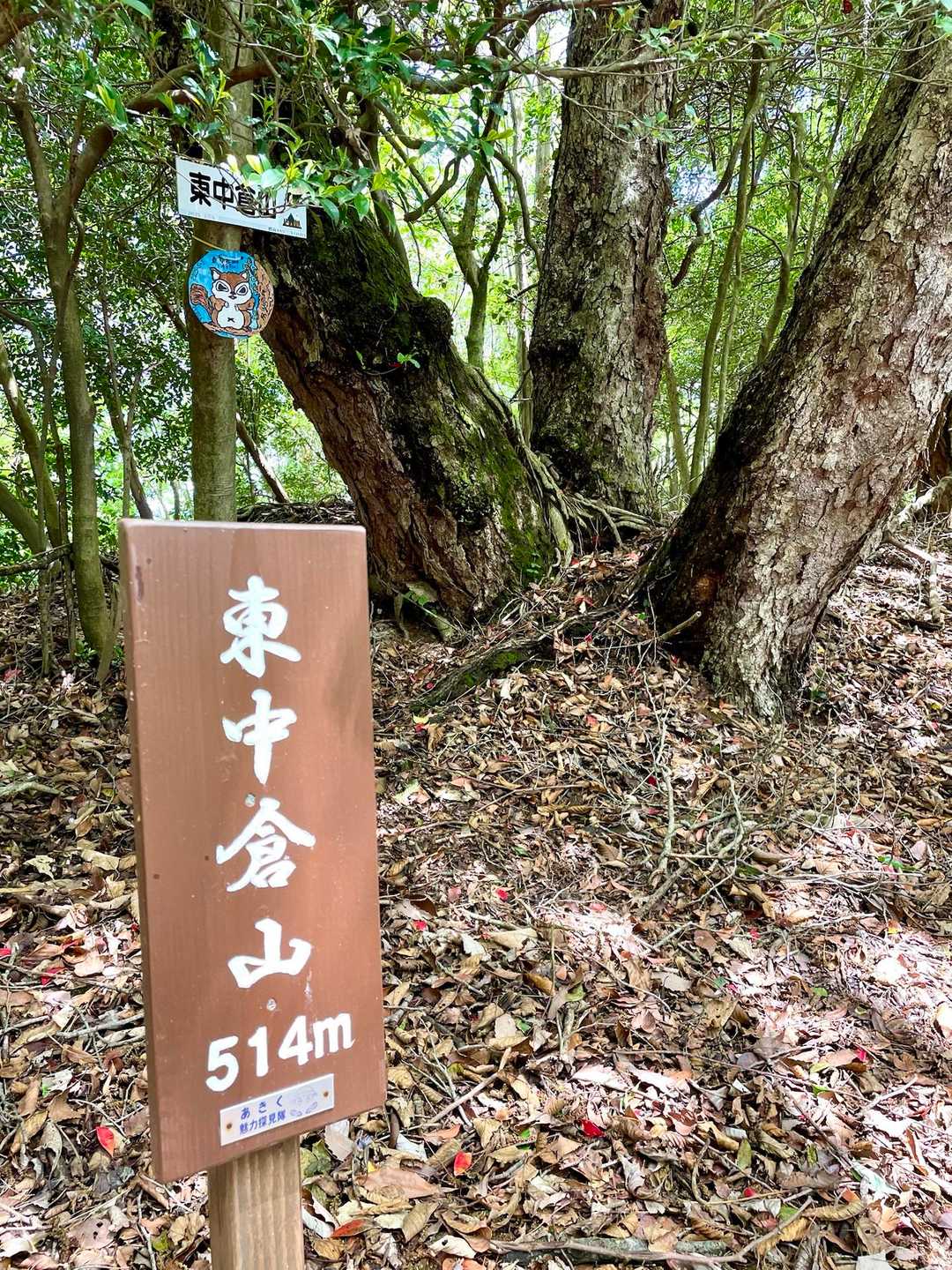 東中倉山山頂
ここは写真取りだけ