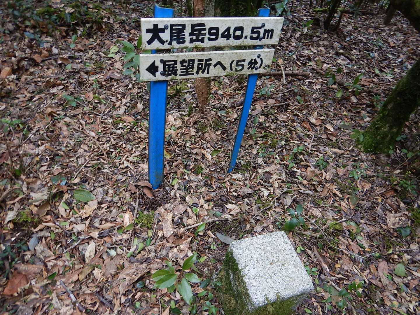 到着❗