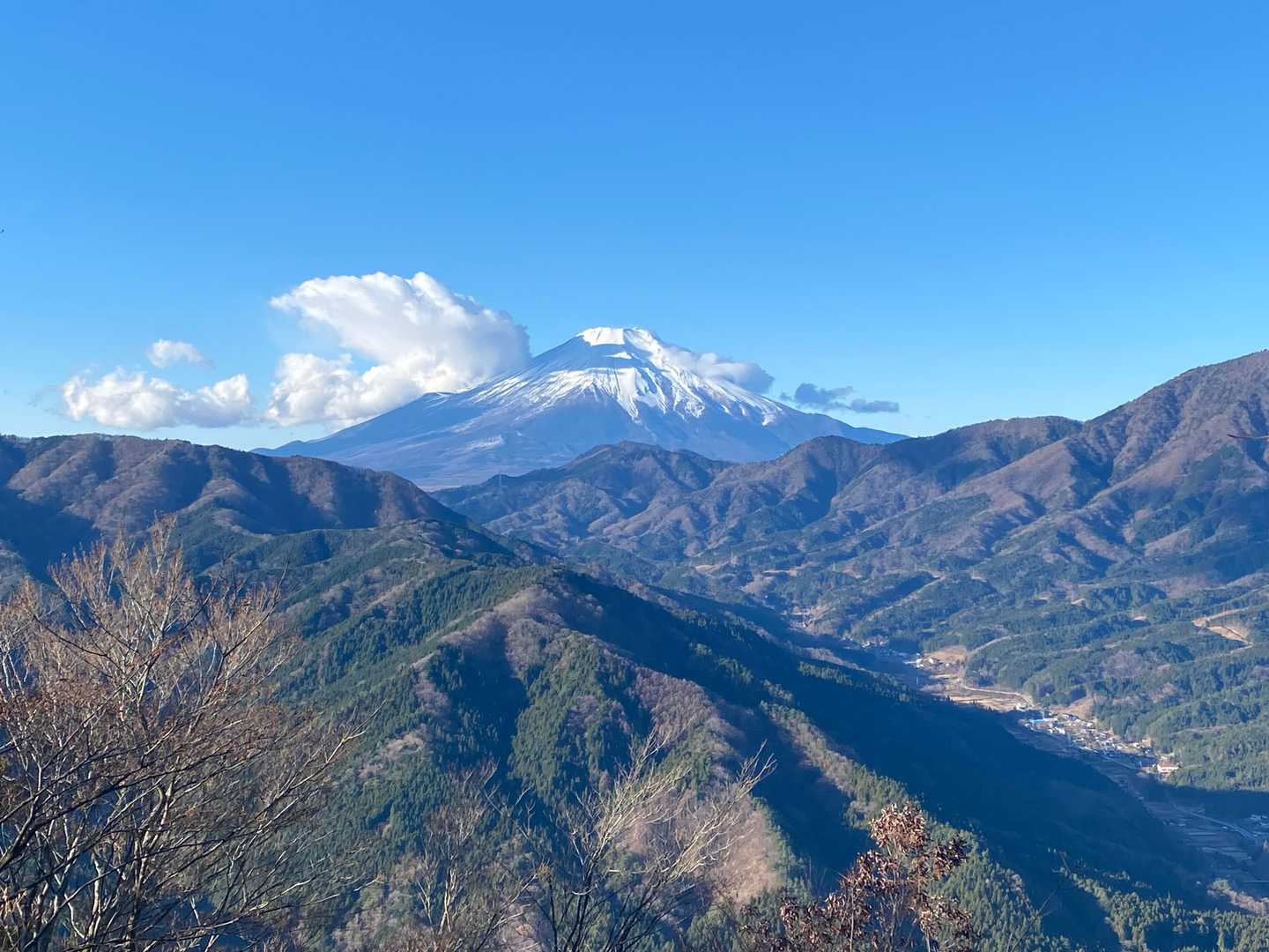 中山バス停-鳥ノ胸山-雑木ノ頭 周回コースの写真