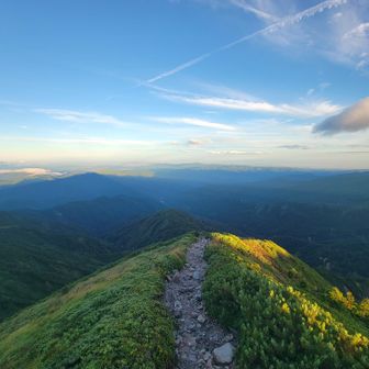 下山します。
この後、右足を2回も捻り、中度の捻挫に🥺

気持ちを落ち着かせる為にチブリ尾根避難小屋で休憩。

右足を庇いながら左足を推進力にしてゆっくり下山したら、左足の股関節が痛くなりました🥺