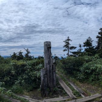 山頂からのパノラマ。あまり展望が利かないのが残念