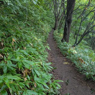 このコースで唯一の平坦な道