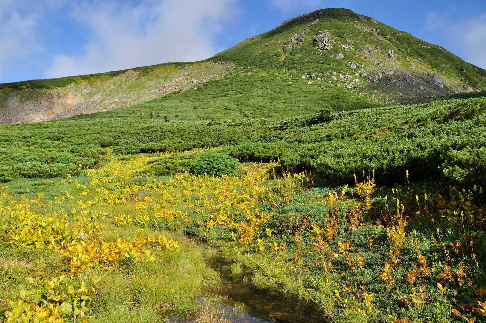 平瀬道登山口-室堂センター-白山 往復コースの写真