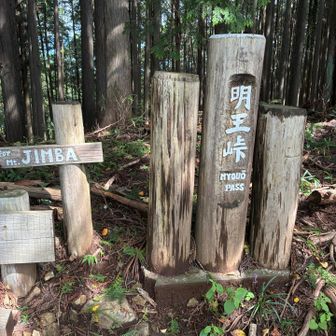 もうすぐ景信山！