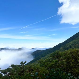 分岐付近からの芽室岳と雲海と飛行機雲