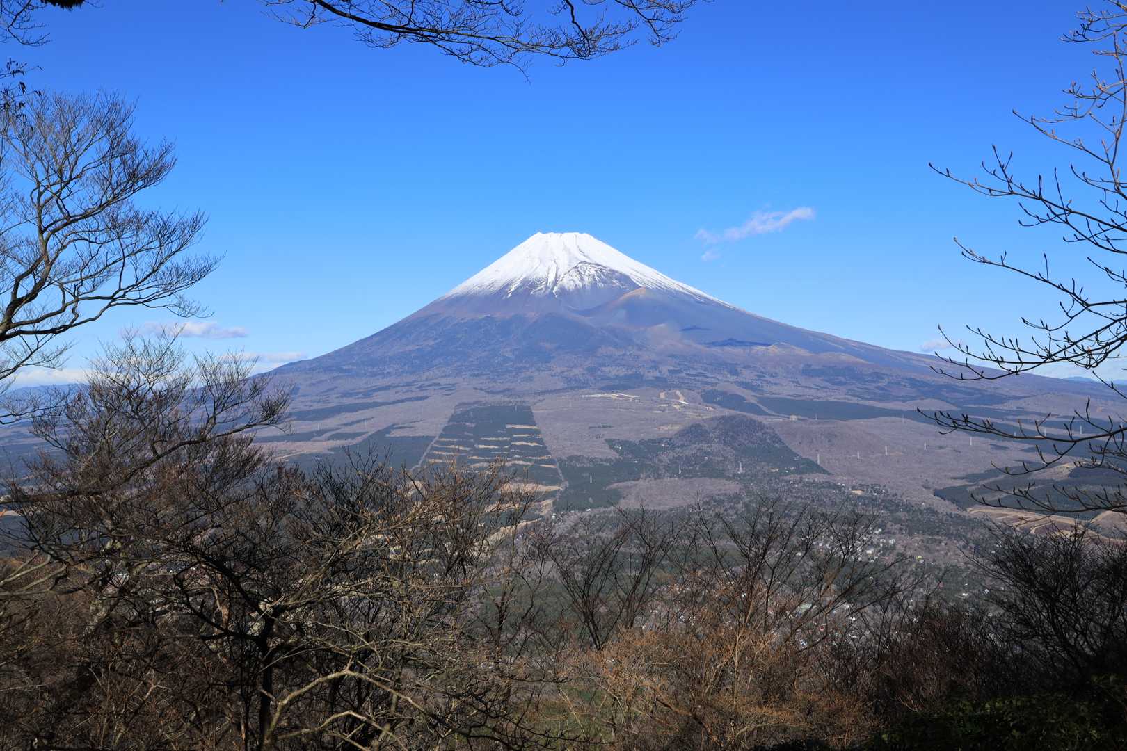 須山愛鷹登山口-富士見峠-黒岳-富士見台-越前岳 周回コースの写真