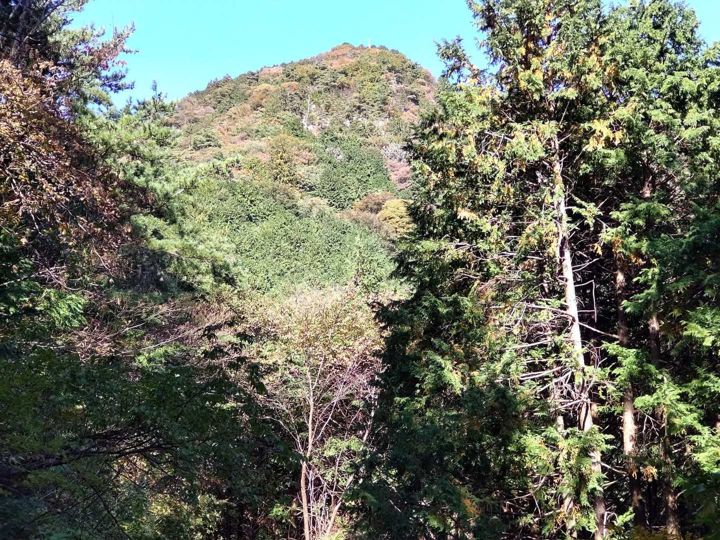 坊主山に登り返してロストから復帰します〜15分くらいのロストでした