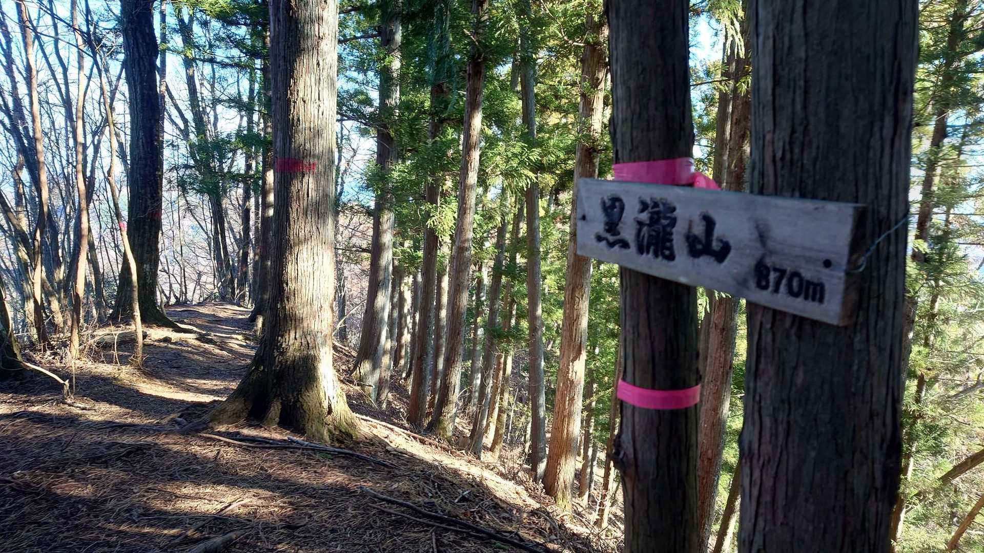 黒瀧山到着✨
ちょっと急坂でしたが長くはないです︎︎👍
眺望は望めません
この道中、道間違えそうなところありました