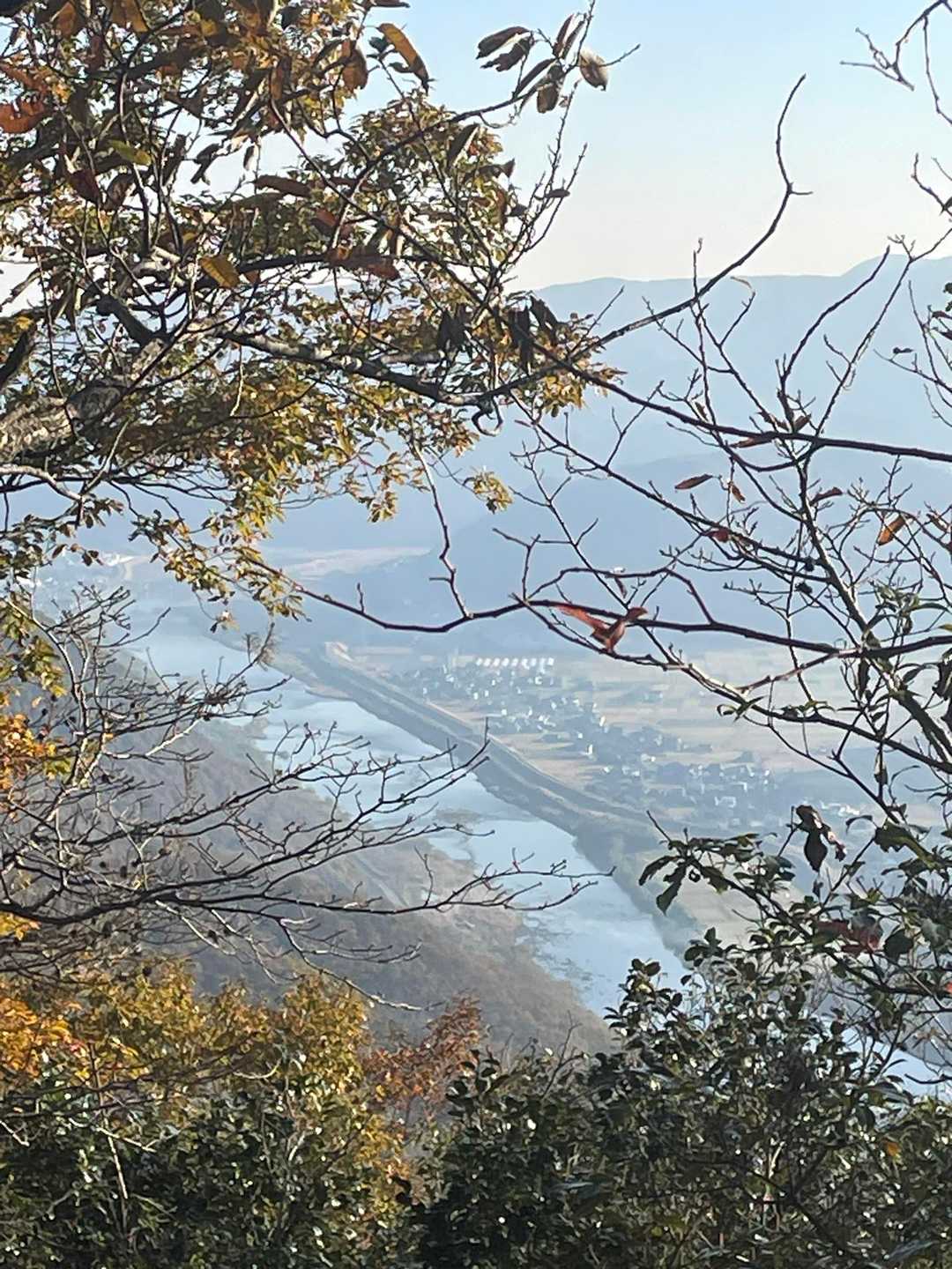 佐伯天神山 往復コースの写真