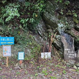 登山道入り口