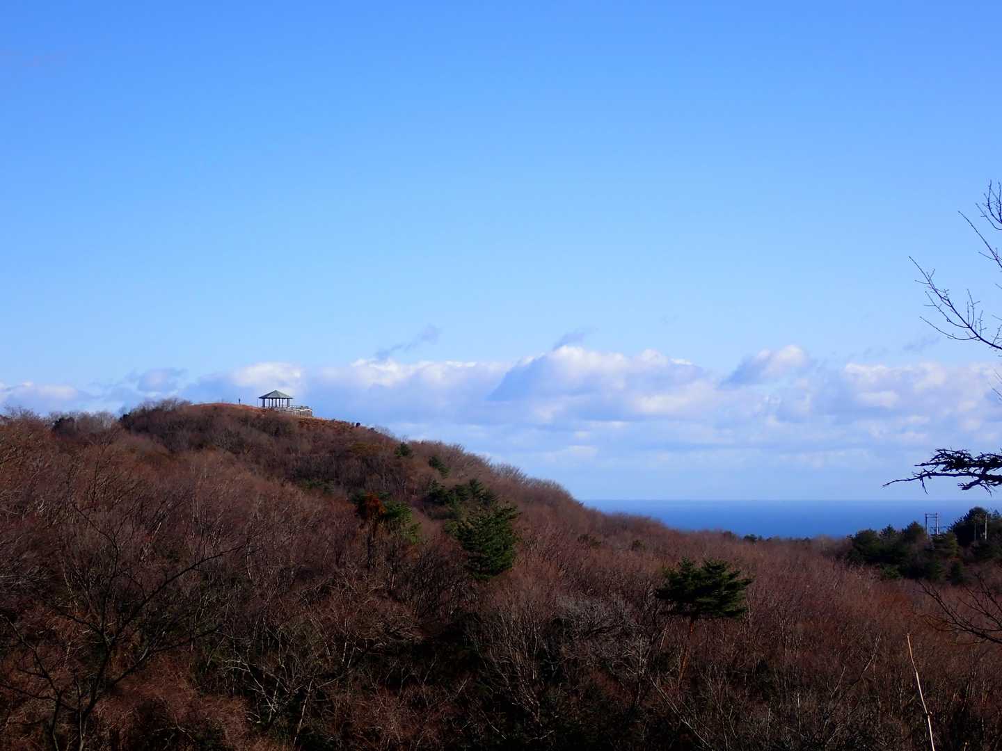 遠くに、助川山の山頂が見えた！