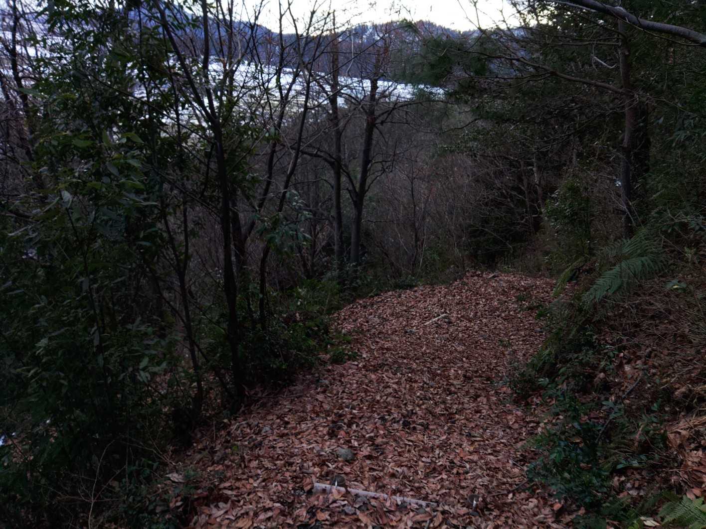 歩きやすい登山道。