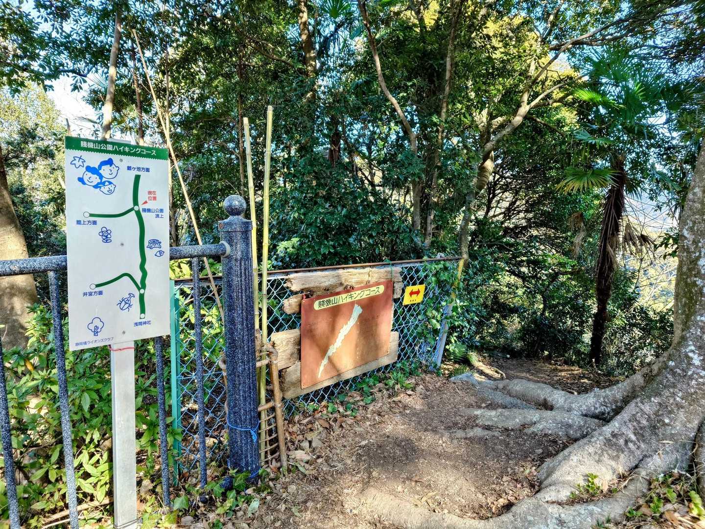 ここからは山道