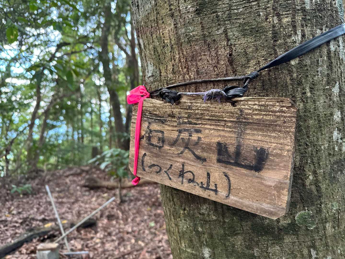 石炭山と書いてつくね山⛰️ほんとかい‼️
