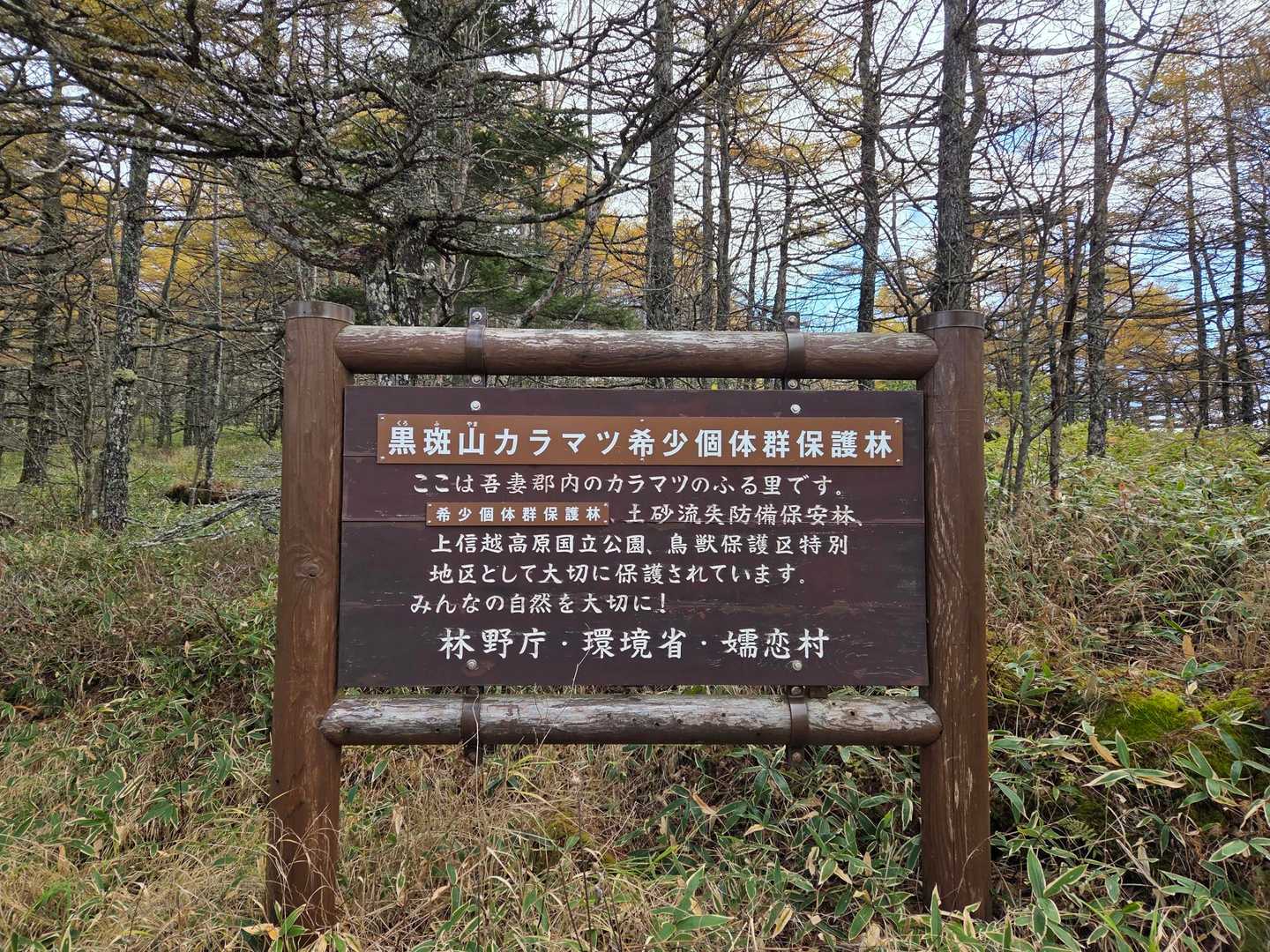 黒斑山はカラマツ希少個体保護林なのね☝️。