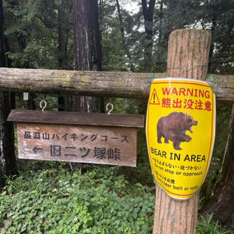 クマのイラストがリアルで怖いって