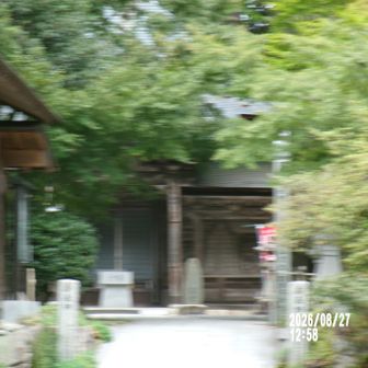 ピンボケの極楽寺本堂