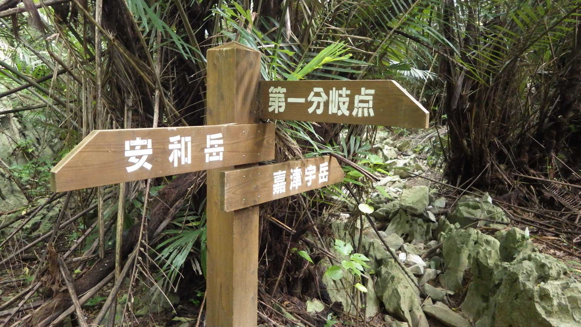 下り終えると、第二分岐です。
今日は天気も悪いので、嘉津宇岳には行かず、そのまま戻ります。