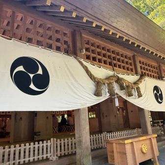 椿大神社参拝。七五三参りで賑わう👌