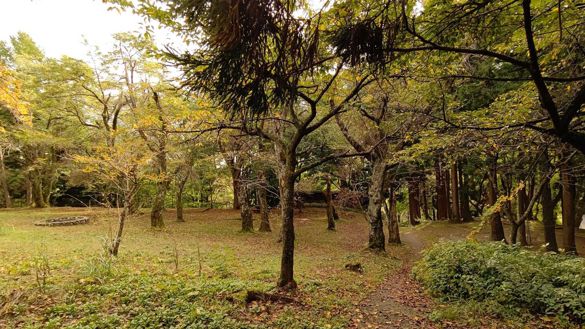 キャンプ場広場。ここを少し上がると山頂。